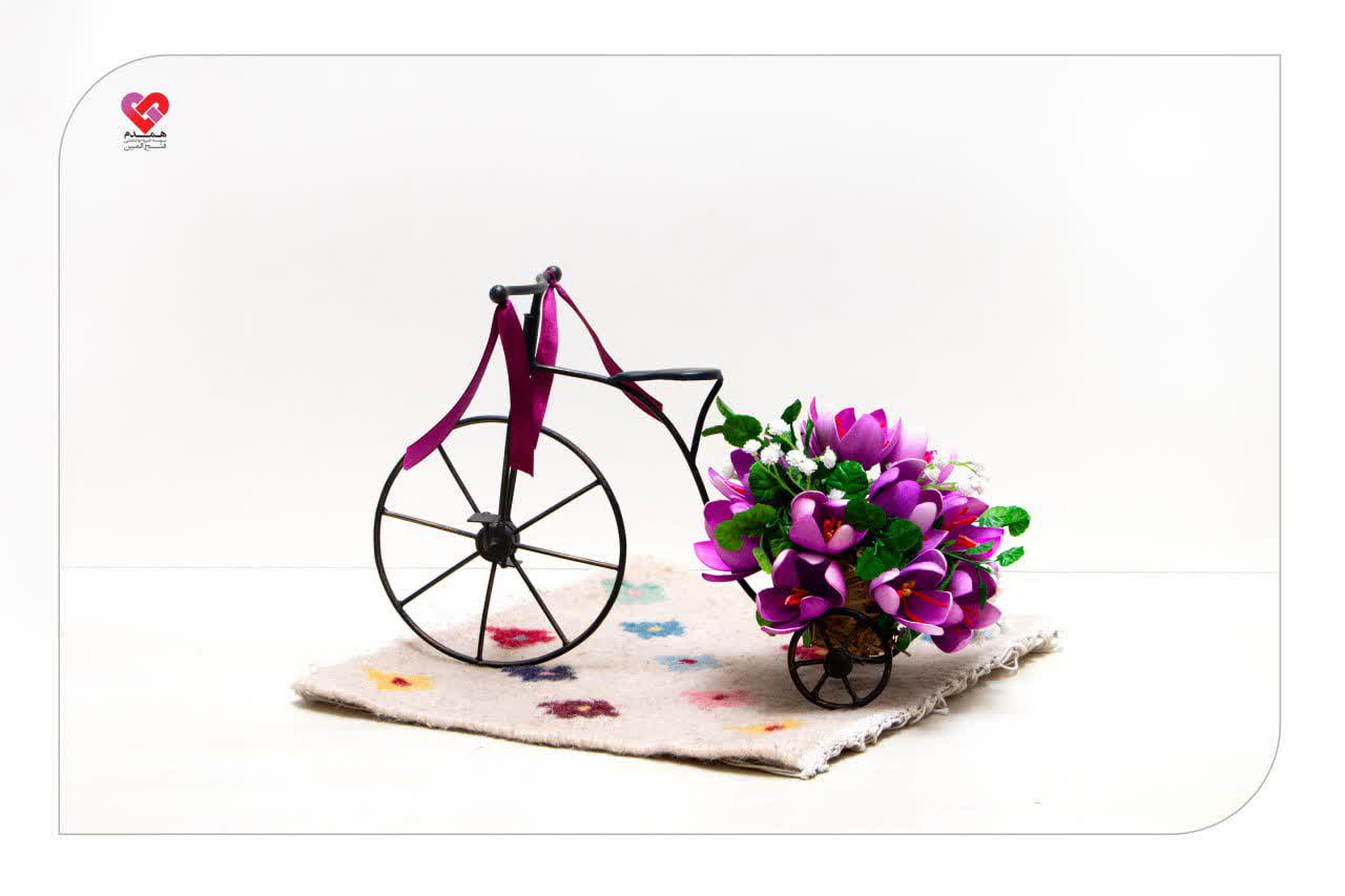 گلدان زعفران، طرح دوچرخه 